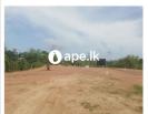 Land For Sale Near Galle